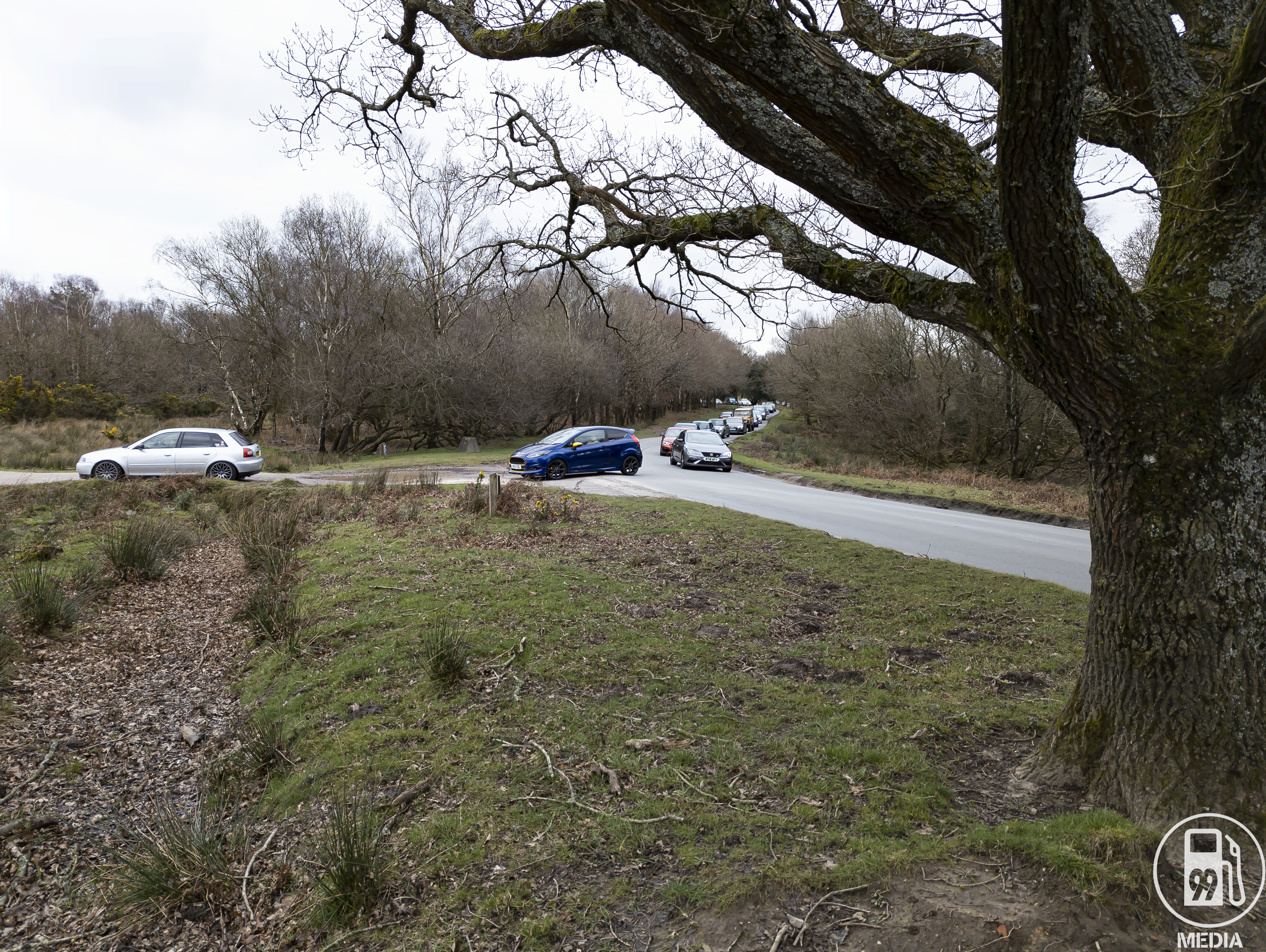 PXL 20220306 130348722